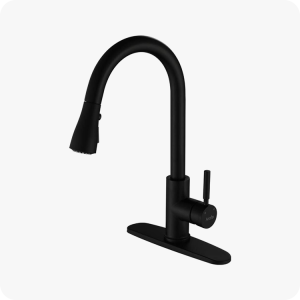 Kitchen Sink Faucet