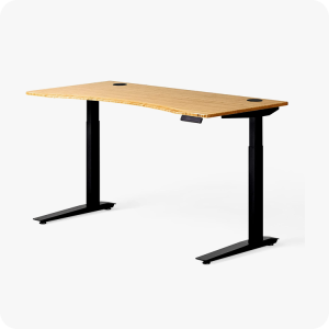Standing Electric Adjustable Desk