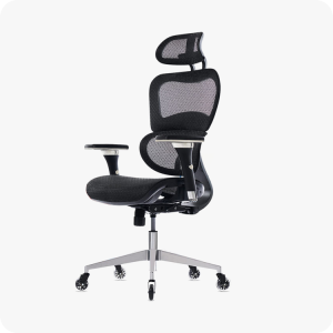 Ergonomic Office Chair